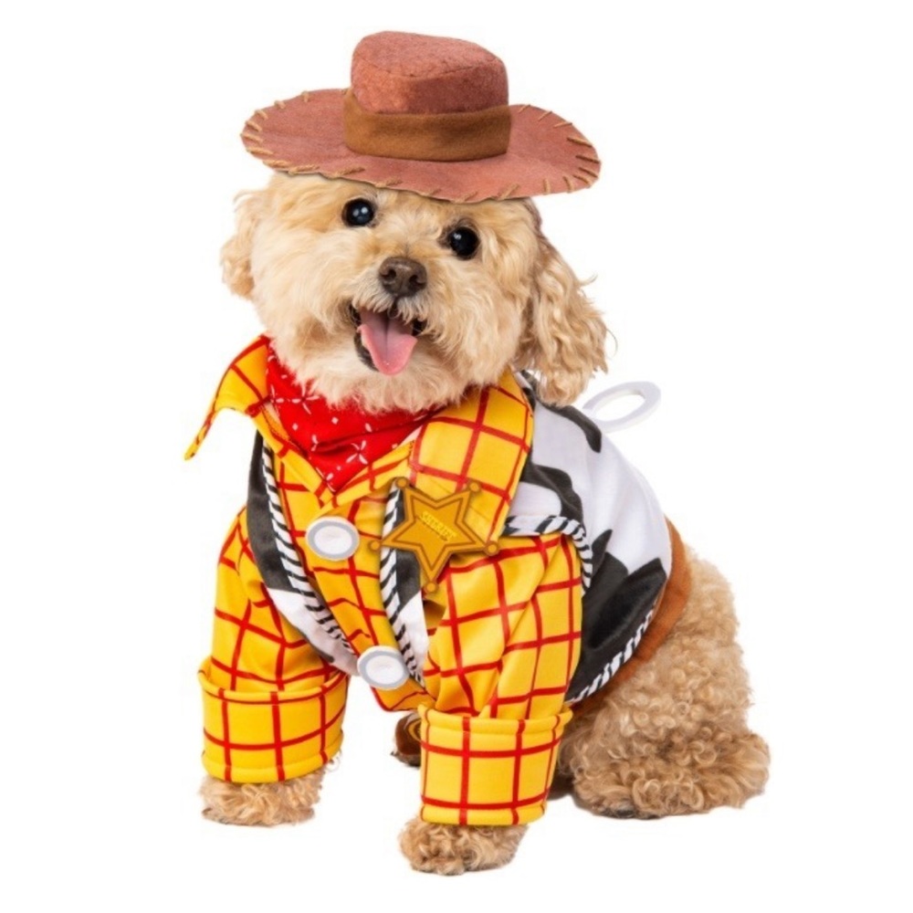 Toy Story Woody Costume For Dog